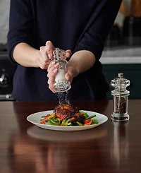 Cole & Mason Acrylic 5.5" Salt & Pepper Mill Gift Set