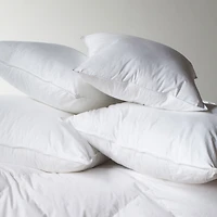 2 Pack - 18" x 18" Down Alternative Throw Pillow Insert