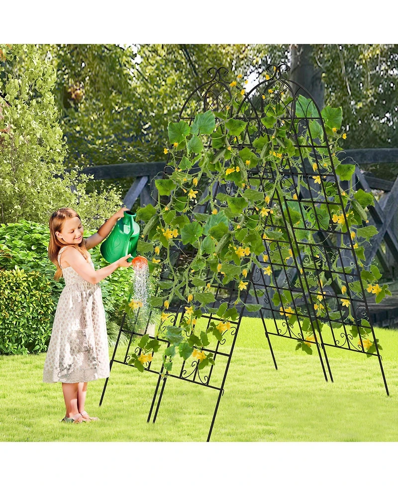 Slickblue 2 Pack Metal Garden Trellis Decorative for Climbing Plants-Black