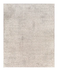Livabliss Carmel Crl-2300 2'7x4' Area Rug