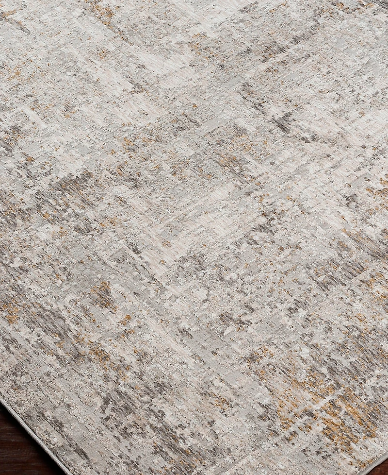 Livabliss Carmel Crl-2304 2'7x4' Area Rug