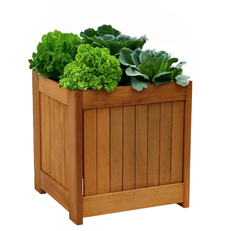 Meranti Wood 16-Inch Square Planter Box with Teak Oil Finish - Set of 2