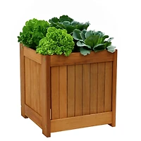 Meranti Wood 16-Inch Square Planter Box with Teak Oil Finish - Set of 2