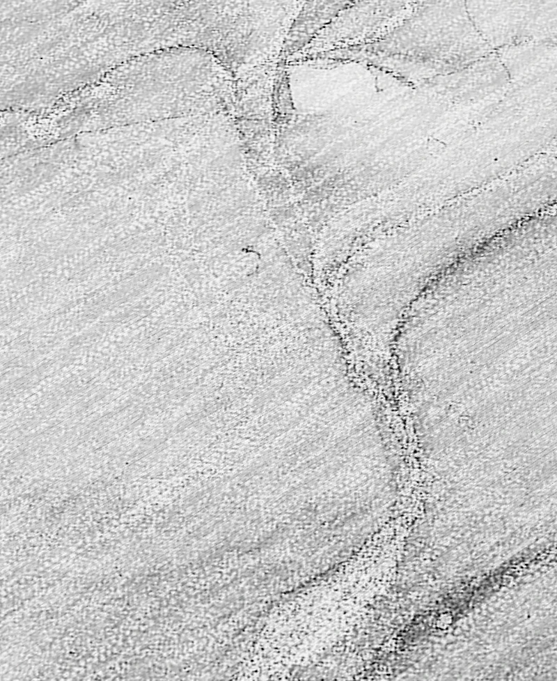 Addison Chantille Machine Washable ACN516 8'x10' Area Rug