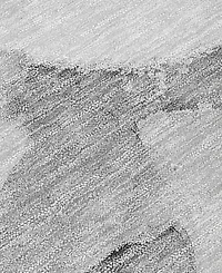 Addison Chantille Machine Washable ACN517 2'3x7'6 Runner Area Rug