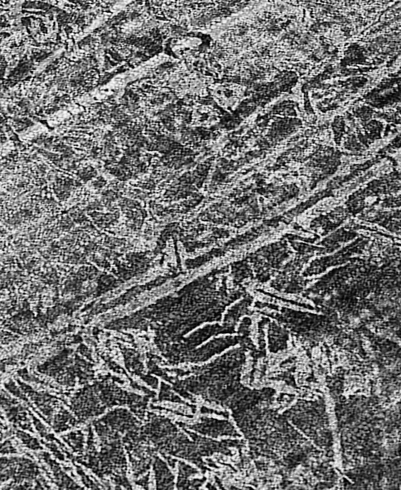 Addison Chantille Machine Washable ACN559 2'6x3'10 Area Rug