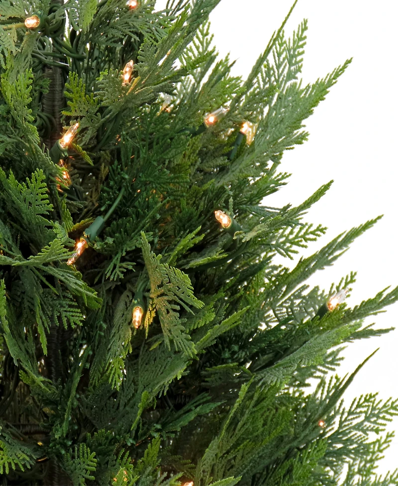 National Tree Company 3 ft. Pre-Lit Cypress Tree in Nursery Pot