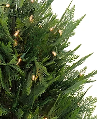 National Tree Company 3 ft. Pre-Lit Cypress Tree in Nursery Pot