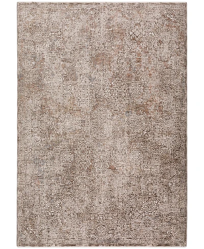 Dalyn Vienna VI5 7'10x10' Area Rug