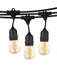 Ambience Pro 48ft Indoor/Outdoor Led String Lights with Spiral Buls