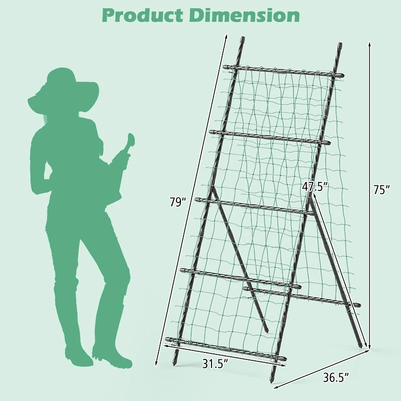 74" Garden Cucumber Trellis for Plant Climbing with Pe-Coated Frame, Trellis Net