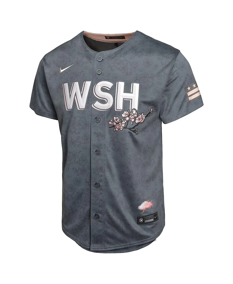 Nike Big Boys and Girls C.j. Abrams Charcoal Washington Nationals City Connect Limited Player Jersey