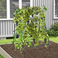 Cucumber Trellis Foldable Garden Tunnel Trellis with Adjustable Auxiliary Clips