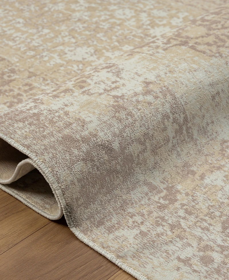 Lr Home Anna Ari-421 5'3"x7' Area Rug