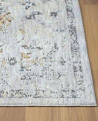 Lr Home Alexis All-470 2'6"x8' Runner Area Rug