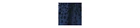 Women's Embellished Illusion High Neck Long Sleeve Fit & Flare Dress