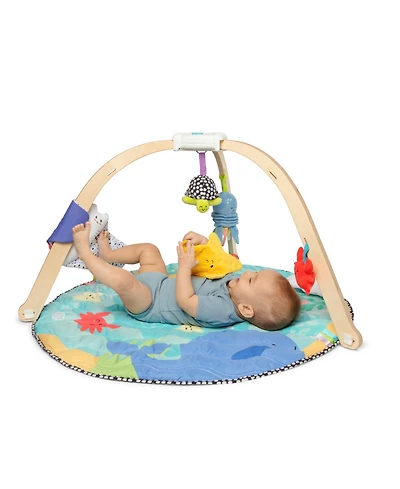 Melissa and Doug Ocean Easy-Fold Play Gym