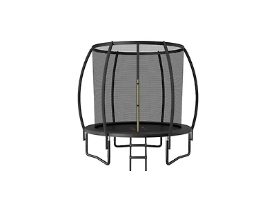 Slickblue 8 Feet Astm Approved Recreational Trampoline with Ladder