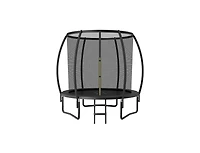 Slickblue 8 Feet Astm Approved Recreational Trampoline with Ladder