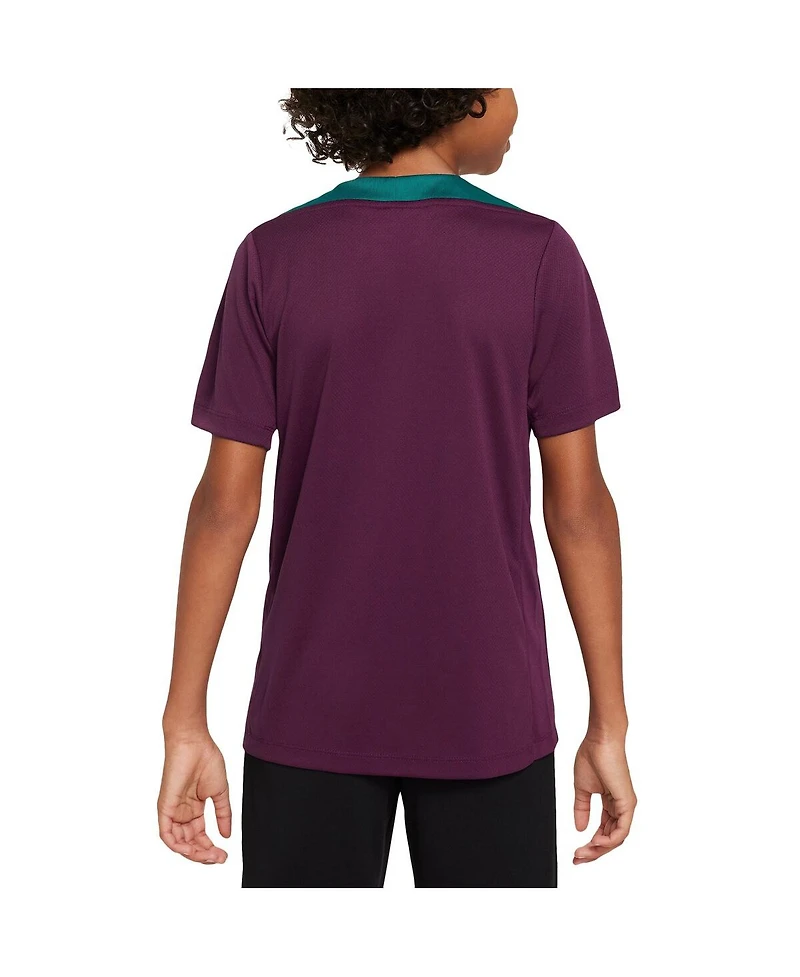 Nike Big Boy's and Girl's Burgundy Paris Saint-Germain 2024/25 Strike Training Performance Top