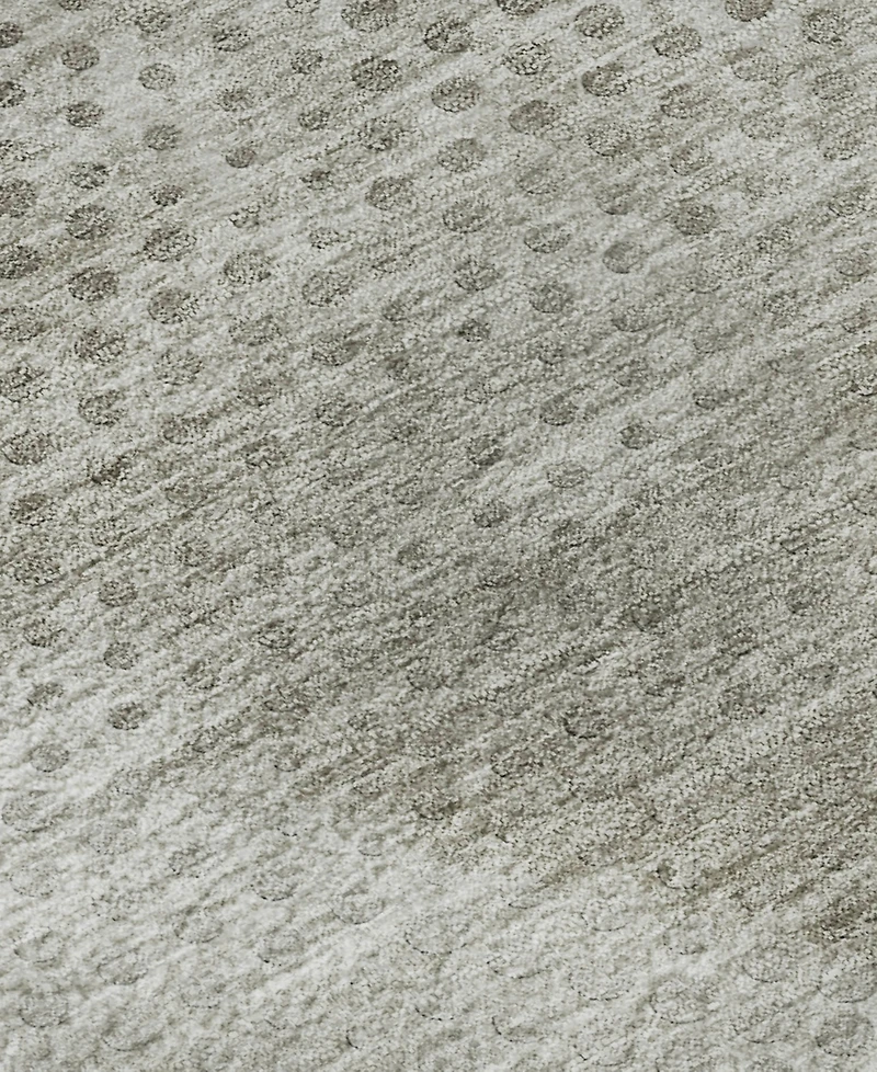 Dalyn Trevi Washable TV4 10'x14' Area Rug