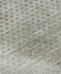 Dalyn Trevi Washable TV4 10'x14' Area Rug