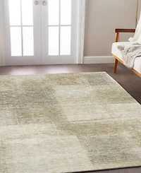 Dalyn Trevi Washable TV10 9'x12' Area Rug