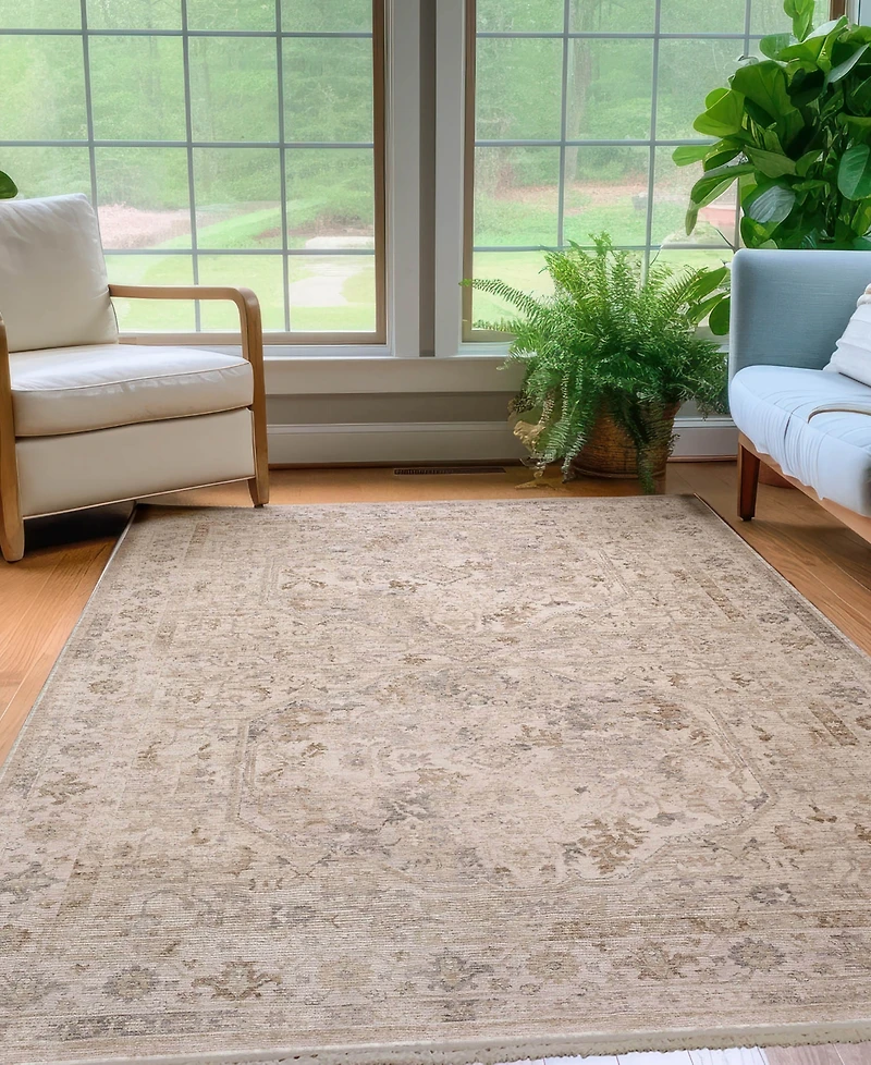Dalyn Cyprus CY4 3'x5' Area Rug