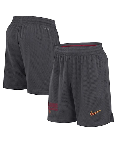 Nike Men's Anthracite Usc Trojans 2024 Sideline Mesh Shorts
