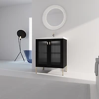 Streamdale Rustic Freestanding Vanity with Modern Acrylic Doors and Ceramic Basin