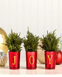 National Tree Company "Joy" Mini Trees, Set of 3, 8 Inches