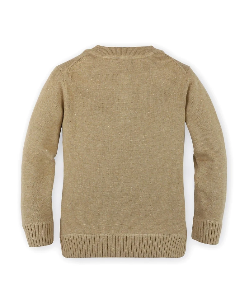 Hope & Henry Boys' Organic Cotton Long Sleeve Henley Pullover Sweater, Kids