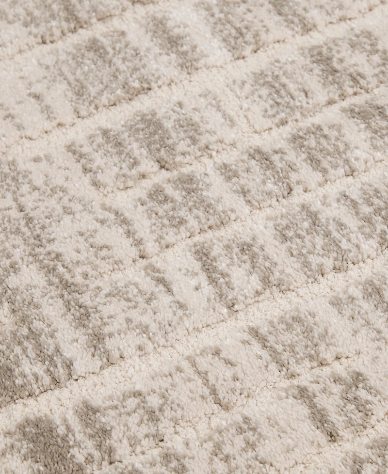 Mink Home Leisure Coast 3'3"x5'3" Area Rug