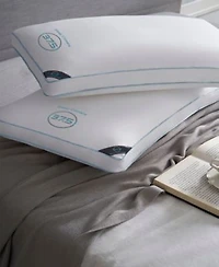Sleep Climate Temperature Balancing Featuring 37.5 Technology Pillows