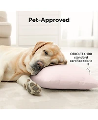 2pk Jumbo Toddler Pillow - Soft Organic Cotton Kids Pillows for Sleeping 14X20 Travel Age 2-5