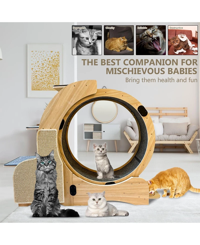 Streamdale 5-in-1 Cat Haven Play, Scratch, Climb, Rest