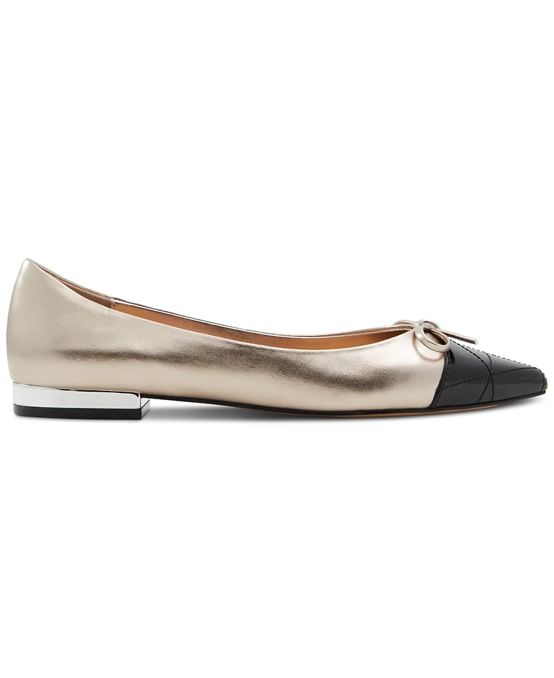 Aldo Women's Maddelyn Pointed-Toe Ballerina Flats