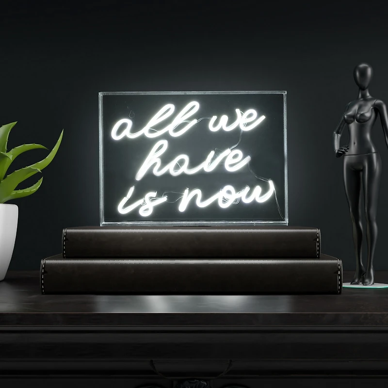 All We Have Is Now Contemporary Glam Acrylic Box Usb Operated Led Neon Light Lamp
