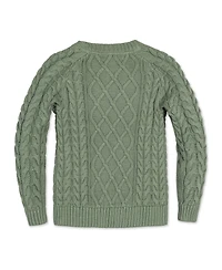 Hope & Henry Boys Organic Long Sleeve Raglan Fisherman Cable Sweater