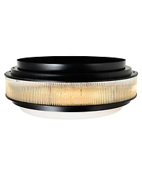 Cwi Lighting 8" Metal Valdivia 4 Light Flush Mount
