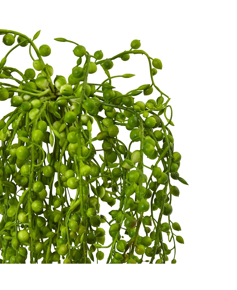 Slickblue Senecio Succulent for Modern and Drought Tolerant Decor (Set of 3)