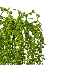 Slickblue Senecio Succulent for Modern and Drought Tolerant Decor (Set of 3)
