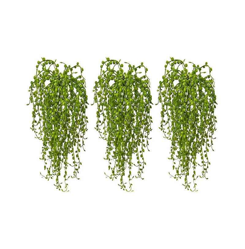 Slickblue Senecio Succulent for Modern and Drought Tolerant Decor (Set of 3)