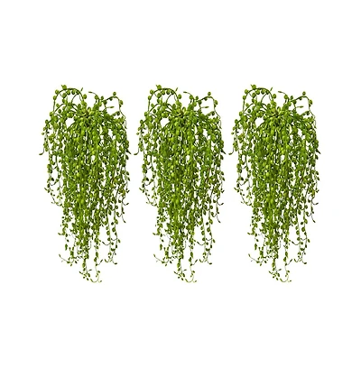 Slickblue Senecio Succulent for Modern and Drought Tolerant Decor (Set of 3)