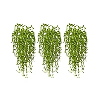 Slickblue Senecio Succulent for Modern and Drought Tolerant Decor (Set of 3)