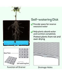 Self-Watering Raised Garden Bed with Legs