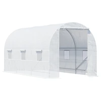 15' Walk-In Greenhouse with Windows & Door