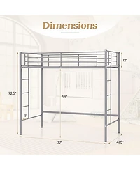 Gymax Twin Metal Loft Bed Frame w/ 2 Ladders Full-length Guardrail Space-Saving Silver