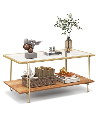 Skonyon 2 Tiers Rectangle Glass Coffee Table with White and Gold Steel Frame-Golden