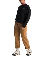 The North Face Women's Evolution Fleece Top